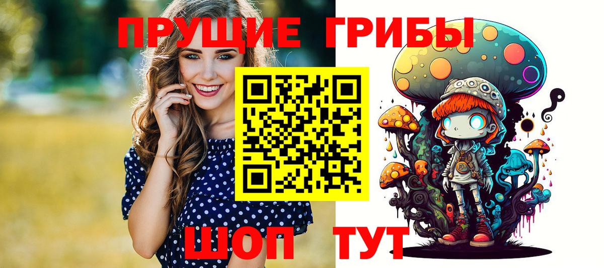 Галлюциногенные грибы мицелий  Вход с VPN  Петрозаводск  Галлюциногенные грибы GOLDEN TEACHER 