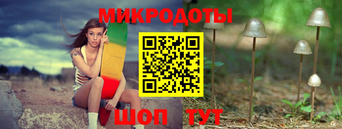 Псилоцибиновые грибы Psilocybine cubensis Петрозаводск
